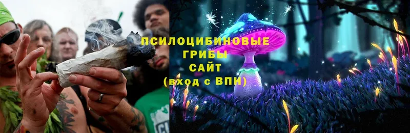 Псилоцибиновые грибы MAGIC MUSHROOMS  Уржум 